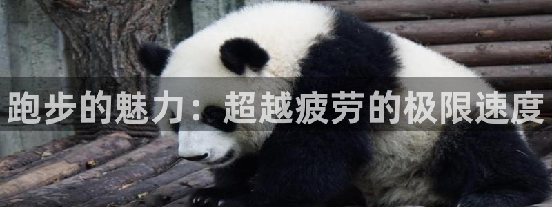 oety欧亿：跑步的魅力：超越疲劳的极限速度