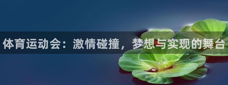 oety欧亿：体育运动会：激情碰撞，梦想与实现的舞台