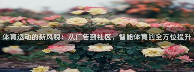 oety欧亿：体育运动的新风貌：从广告到社区，智能体育的全方位提升