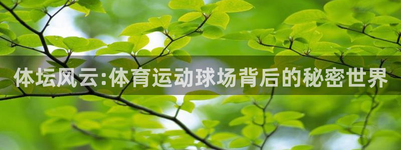 oety欧亿：体坛风云:体育运动球场背后的秘密世界