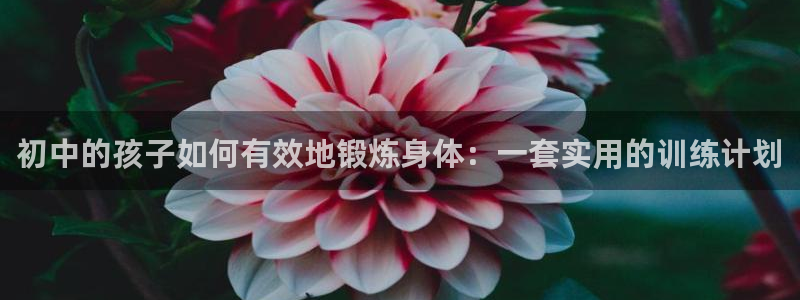 oety欧亿：初中的孩子如何有效地锻炼身体：一套实用的训练计划