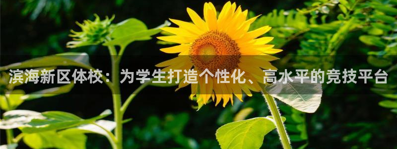 oety欧亿：滨海新区体校：为学生打造个性化、高水平的竞技平台