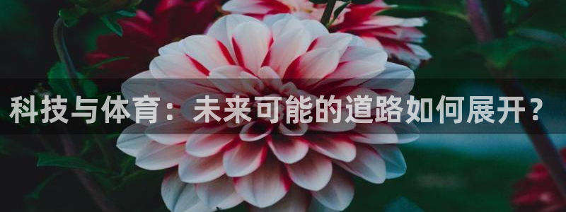 oety欧亿：科技与体育：未来可能的道路如何展开？